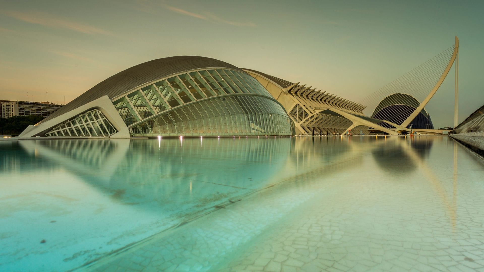 ︎ Descubre La Ciudad de las Artes y las Ciencias - Plan Valencia